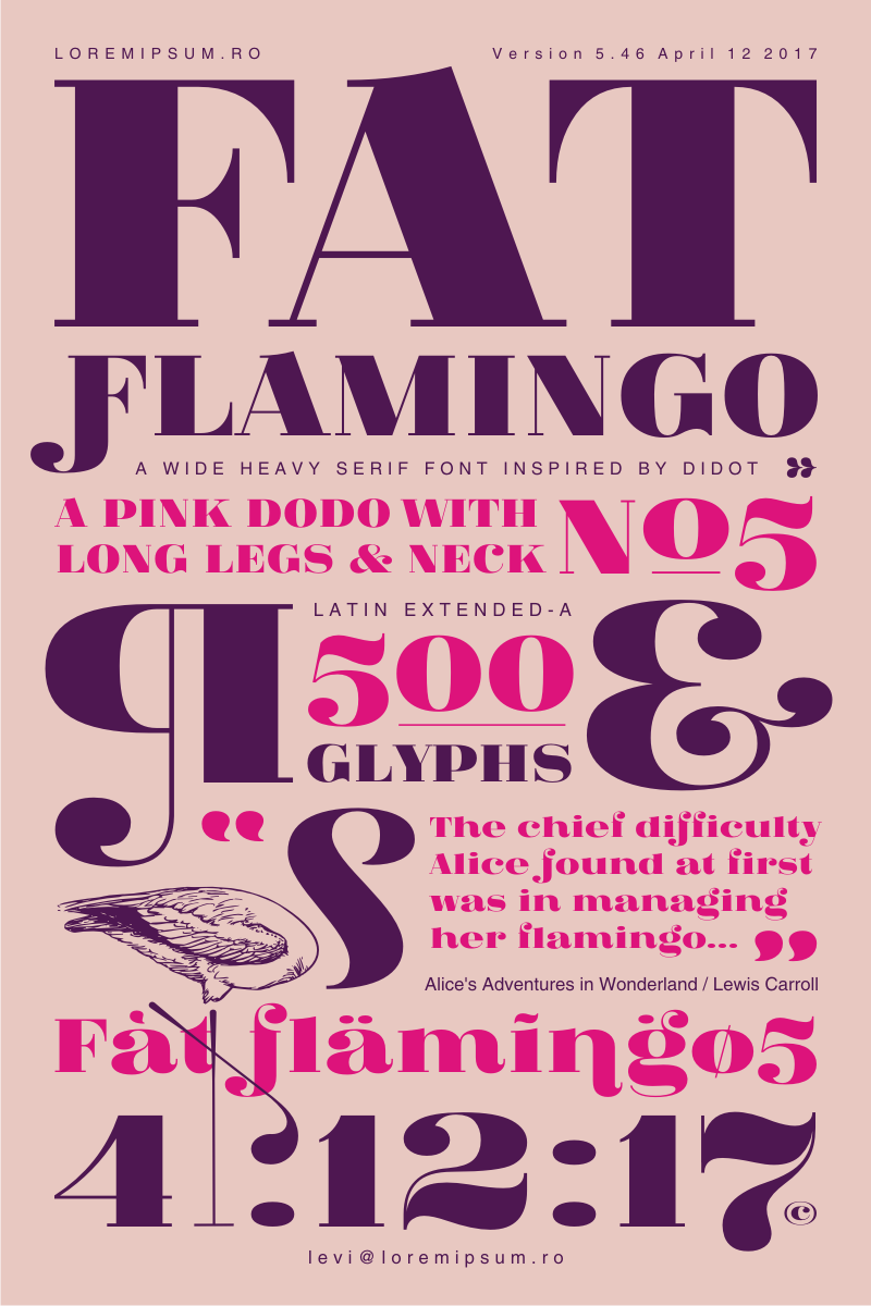 Fat Flamingo 5